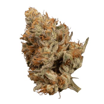 OGEN | Bacio Punch #8 - Indica 3.5g